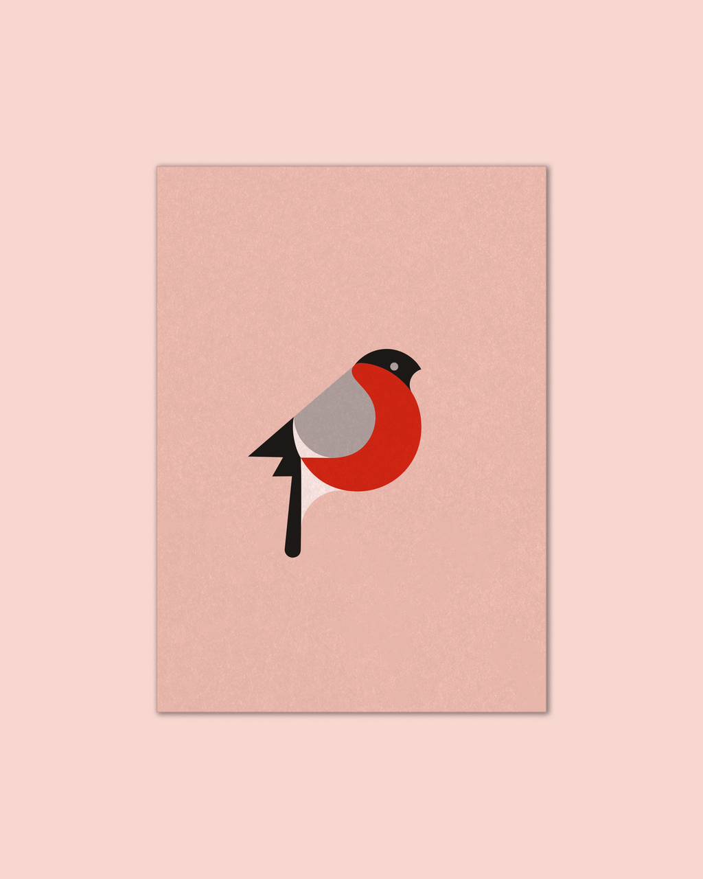 Bullfinch - Poster 50 x 70 cm