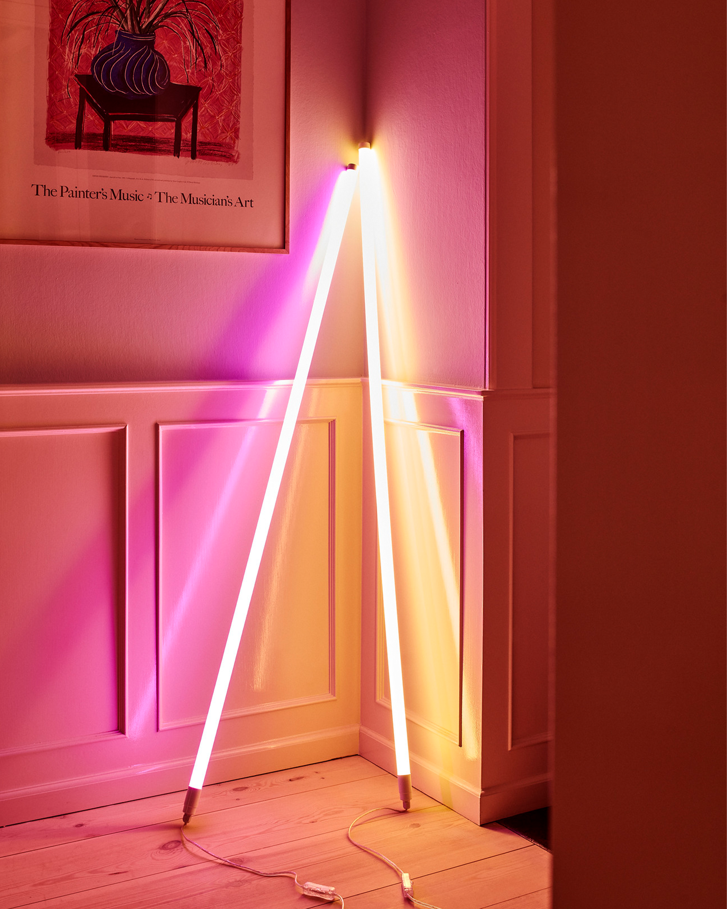 NEON TUBE LED – The curly girl's world