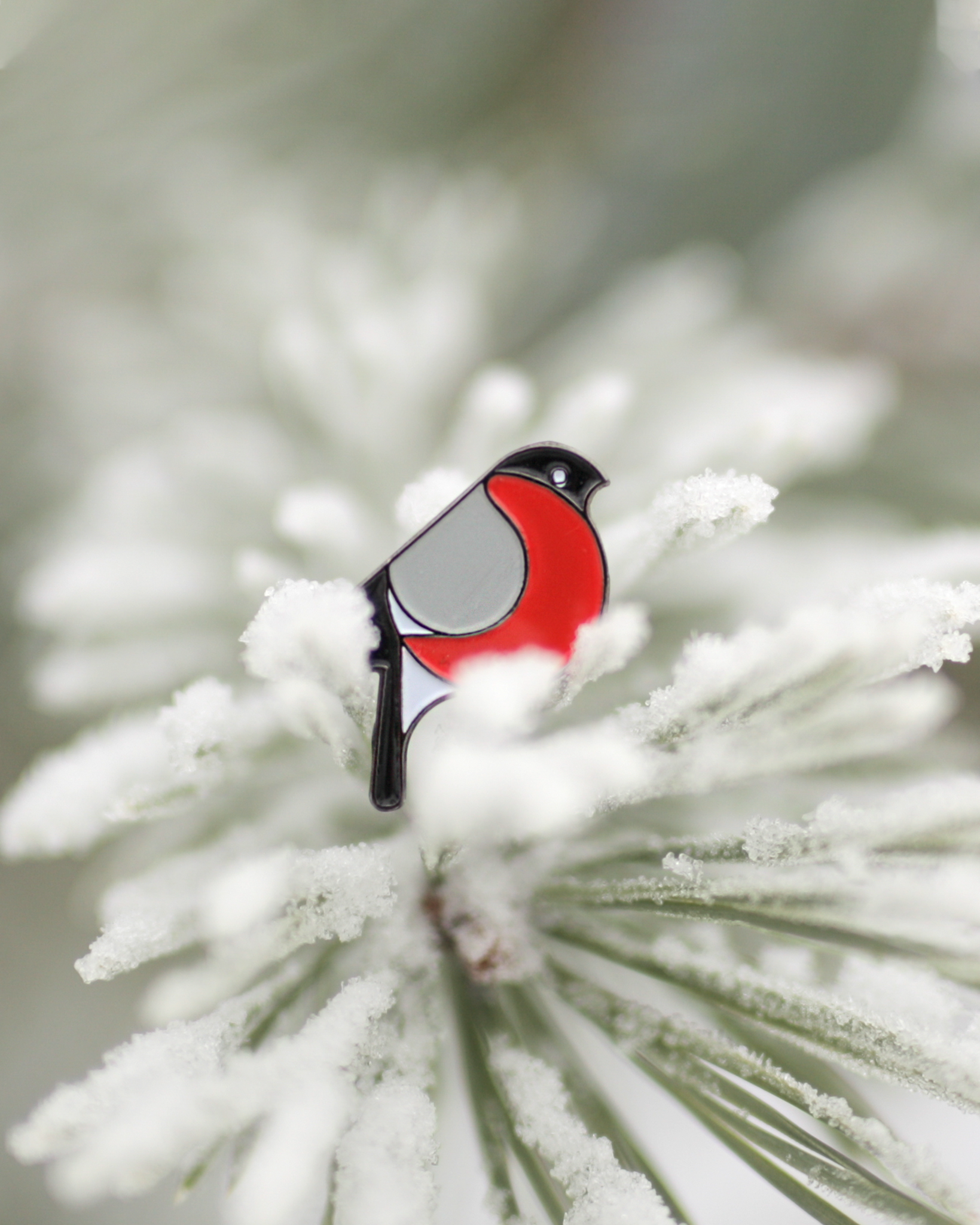 Bullfinch - pin